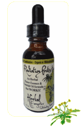 radiation protection